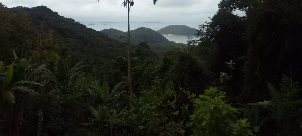 Floresta em Pé - Garantida por Guardiões da Natureza

ALdeia Boa Vista 
Tekoa Taexaa Porã
Sertão do Promirim - Ubatuba - SP Brasil